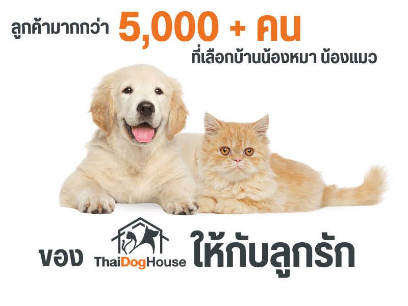 ที่เลือกบ้านน้องหมา น้องแมว เลือก Thai dog House